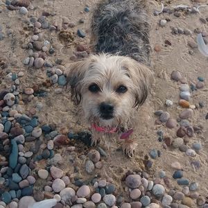 Meet your Posher, Stacie